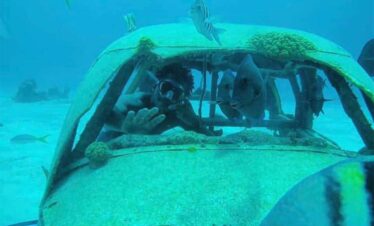 Snorkel en el Parque Nacional Clifton