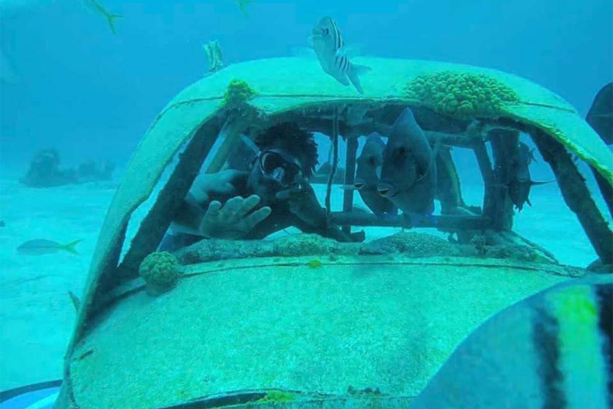 Snorkel en el Parque Nacional Clifton